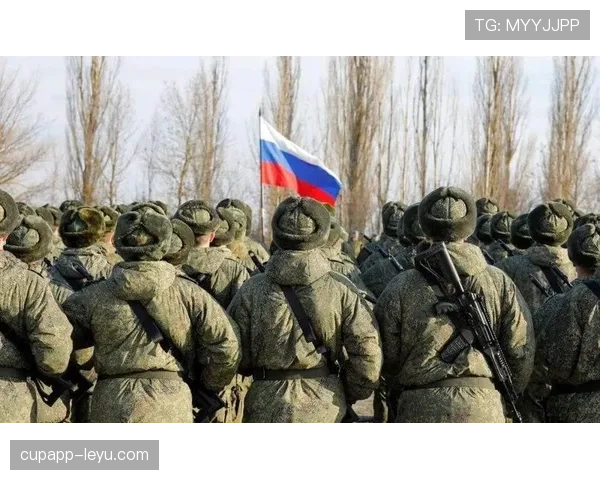 阿尔防线稳健表现推动积极转变，未来发展前景引发关注