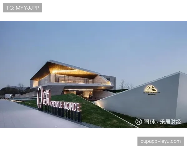 Son持续稳健表现，引领数字时代新潮流